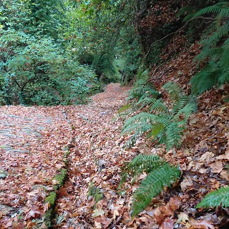 White Stone House With Great Sea View