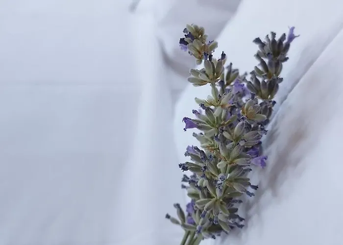 White Stone House With Great Sea View וילה