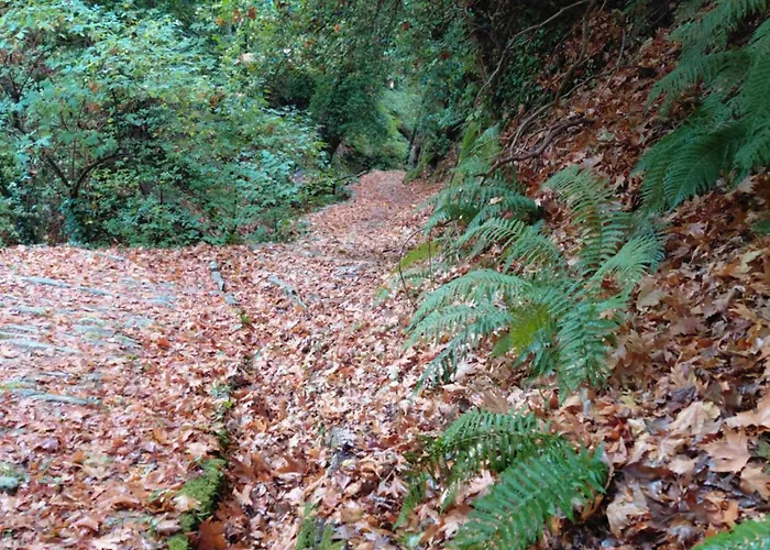 White Stone House With Great Sea View